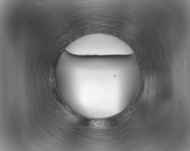 X0000056020181200508190930