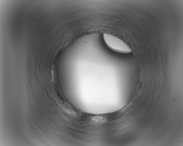 X0000056020183200508190930
