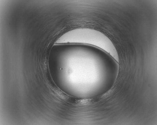 X0000056020184200508190930