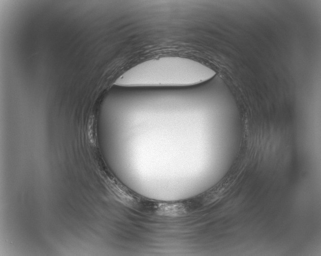 X0000056020185200508190930