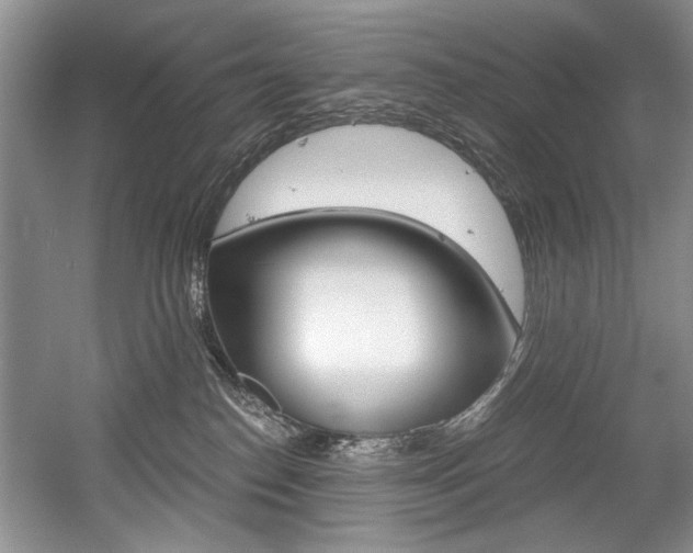 X0000056020186200508190930