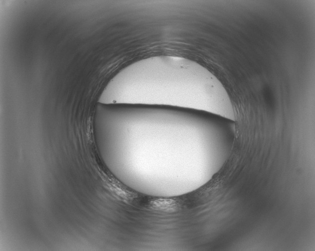 X0000056020189200508190930