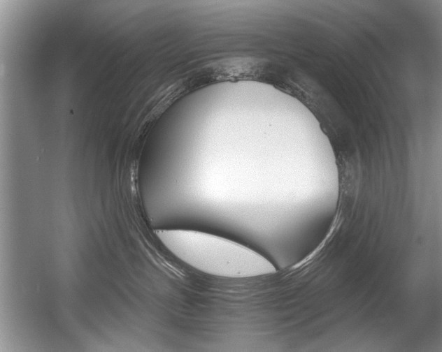 X0000056020191200508190930