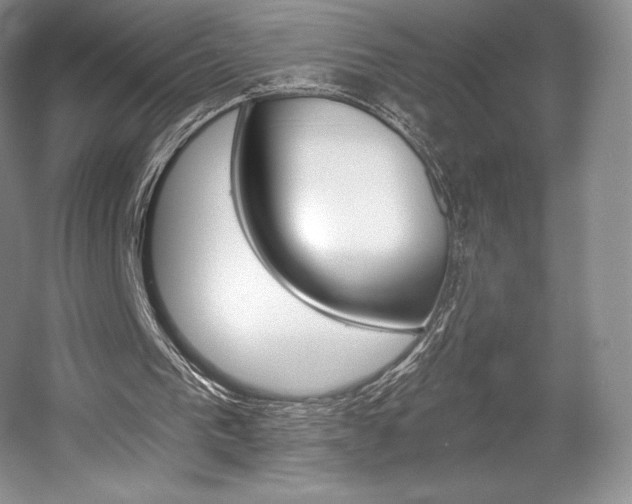 X0000056020193200508190929