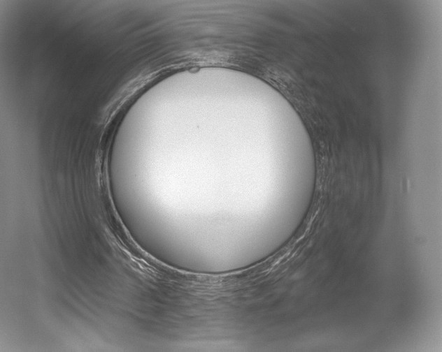 X0000056020194200508190929