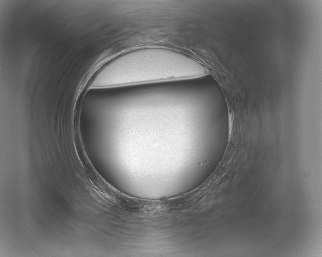X0000056020195200508190929