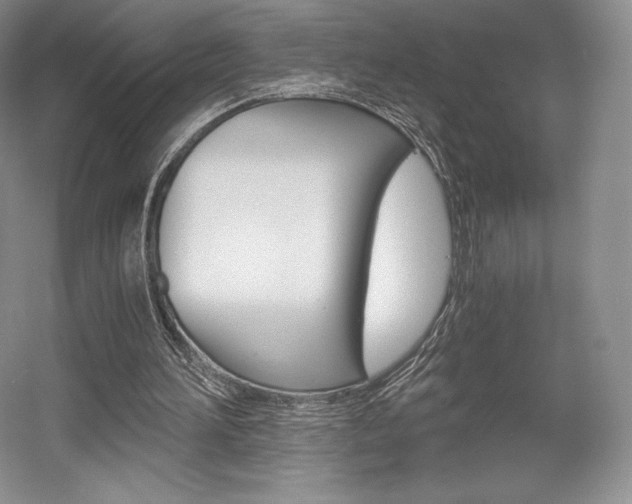 X0000056020196200508190929