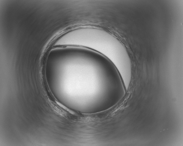 X0000056020197200508190929