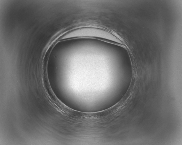 X0000056020199200508190929