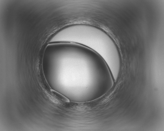 X0000056020201200508190929