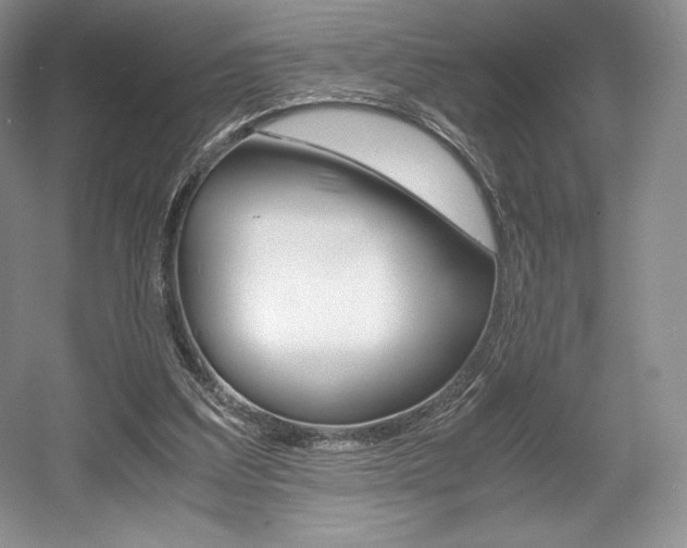 X0000056020203200508190929