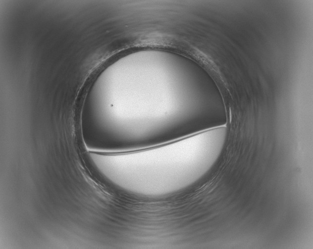 X0000056020204200508190929