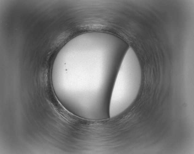 X0000056020206200508190929