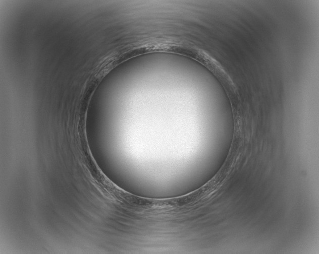 X0000056020209200508190929