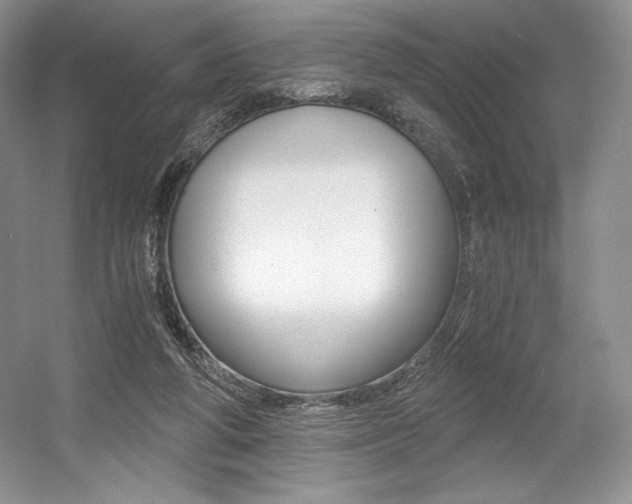 X0000056020210200508190929