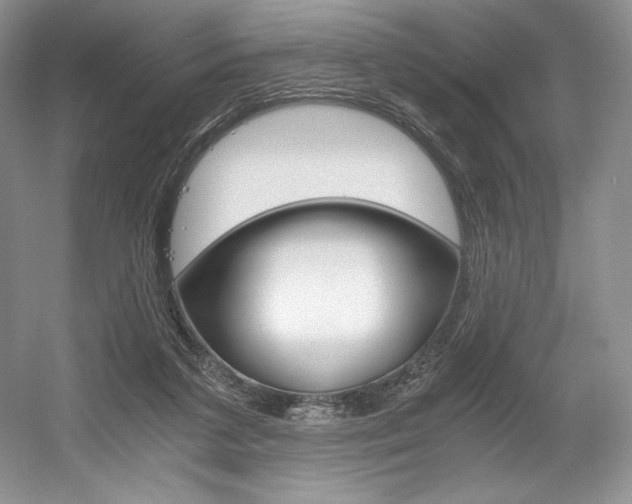 X0000056020211200508190929