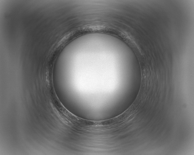 X0000056020212200508190929