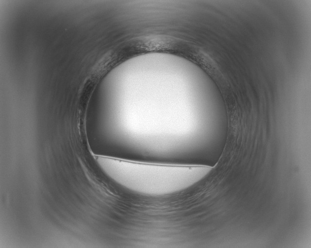 X0000056020214200508190929