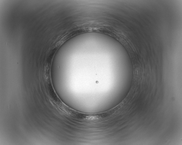 X0000056020218200508190929