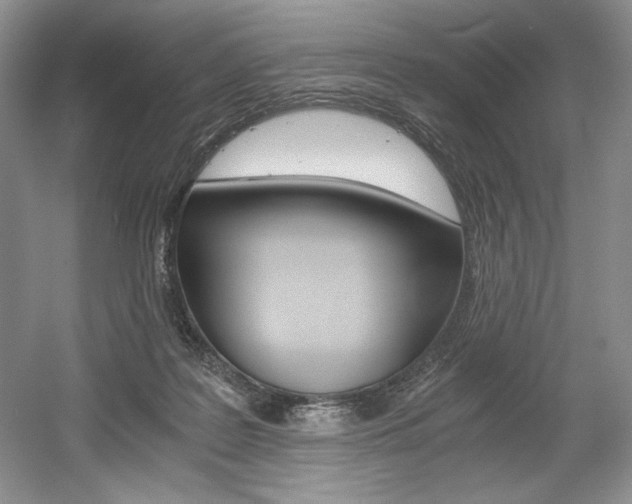 X0000056020219200508190929