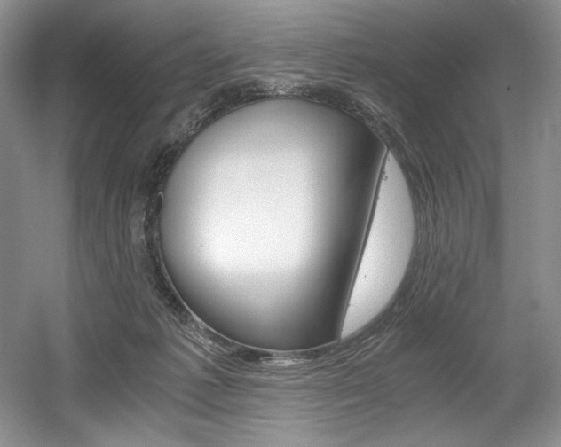 X0000056020221200508190928
