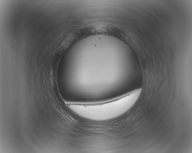 X0000056020223200508190928