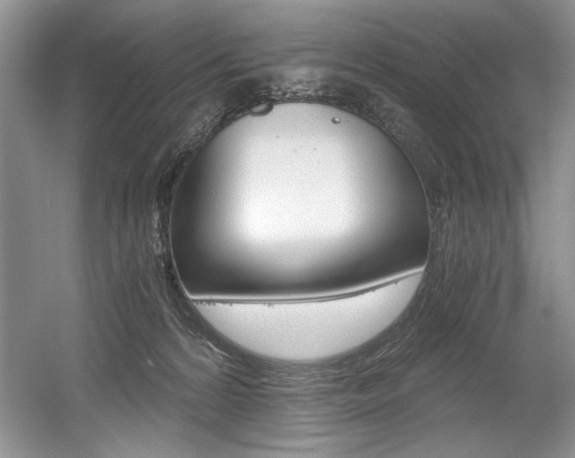 X0000056020224200508190928