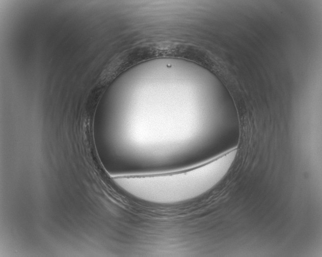 X0000056020225200508190928