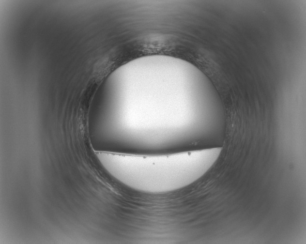 X0000056020226200508190928