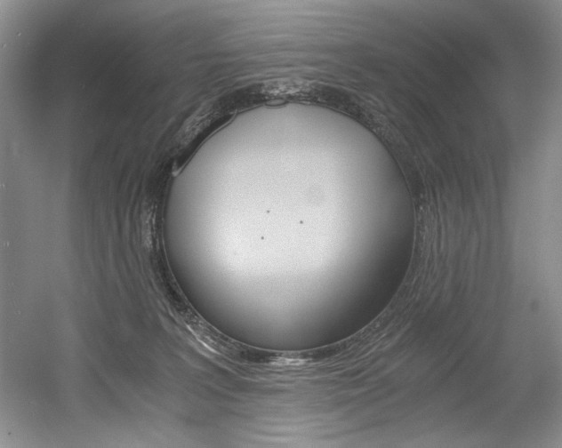 X0000056020227200508190928