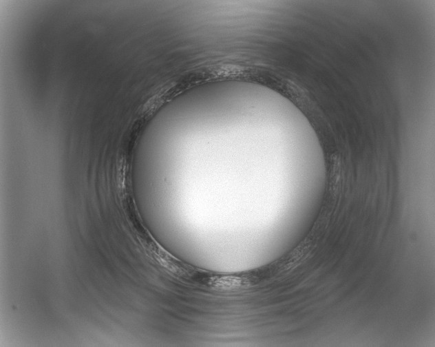 X0000056020230200508190928