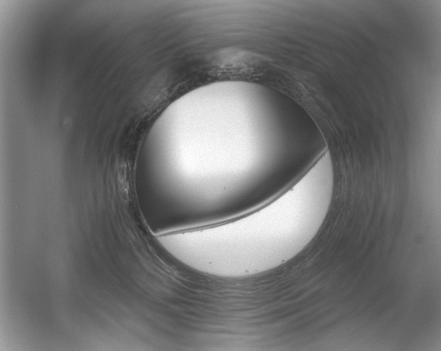 X0000056020232200508190928