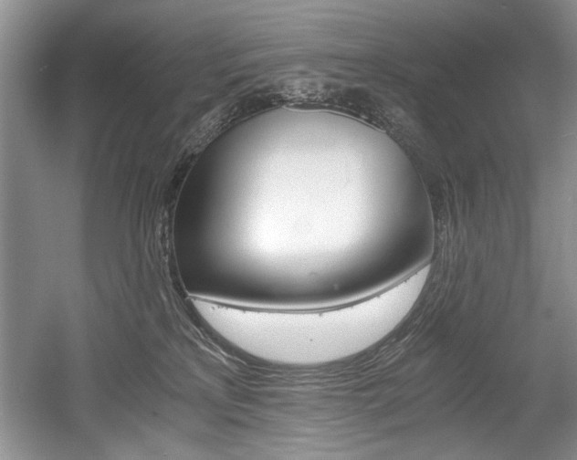 X0000056020233200508190928