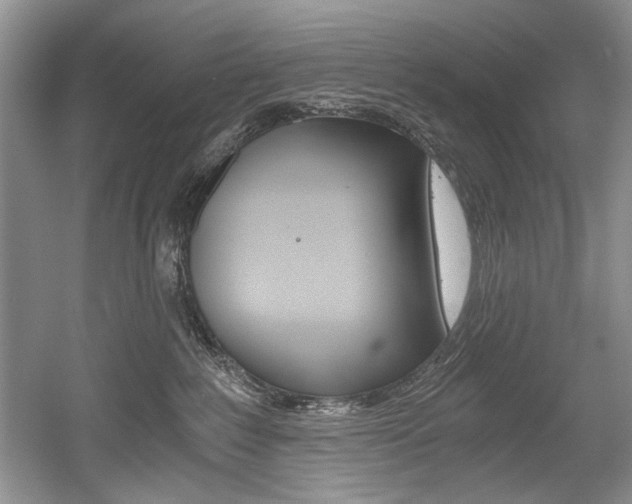 X0000056020235200508190928