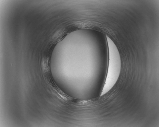 X0000056020239200508190928