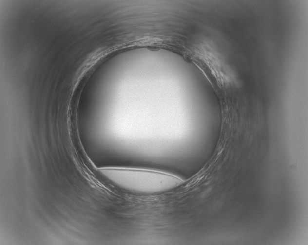 X0000056020242200508190927