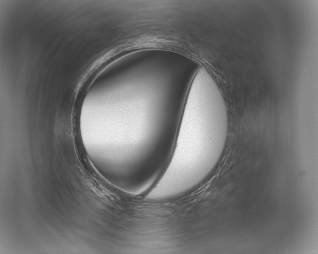 X0000056020244200508190927