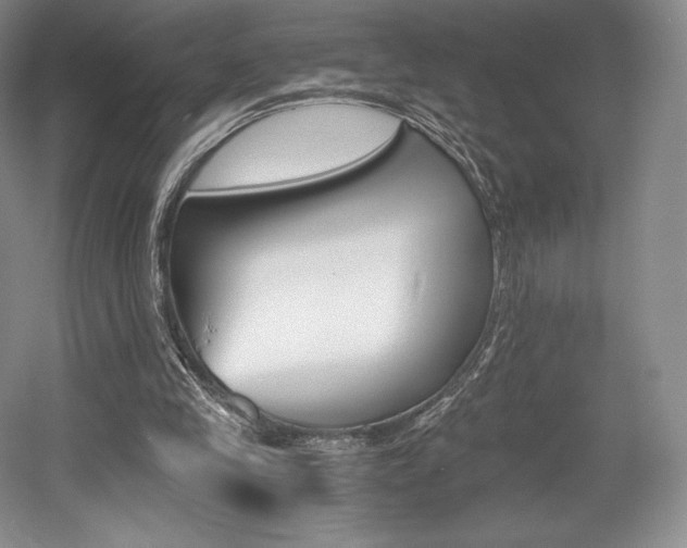 X0000056020245200508190927