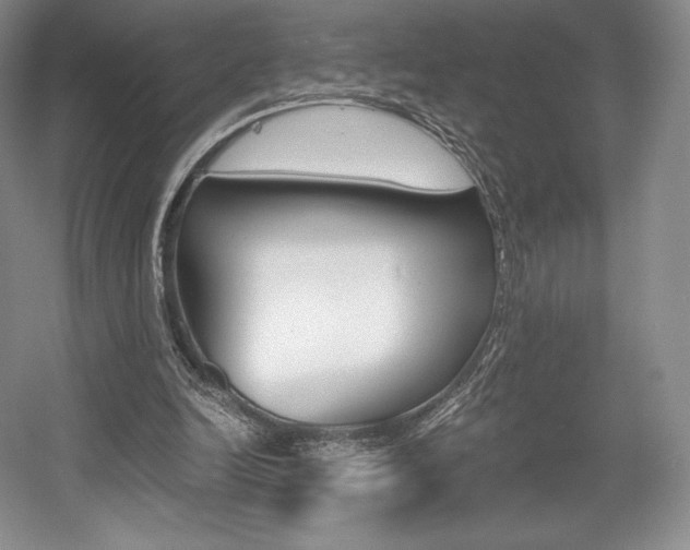 X0000056020246200508190927