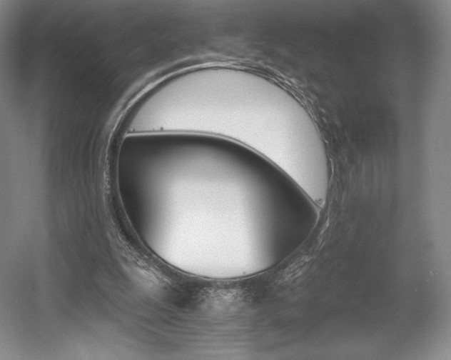 X0000056020247200508190927