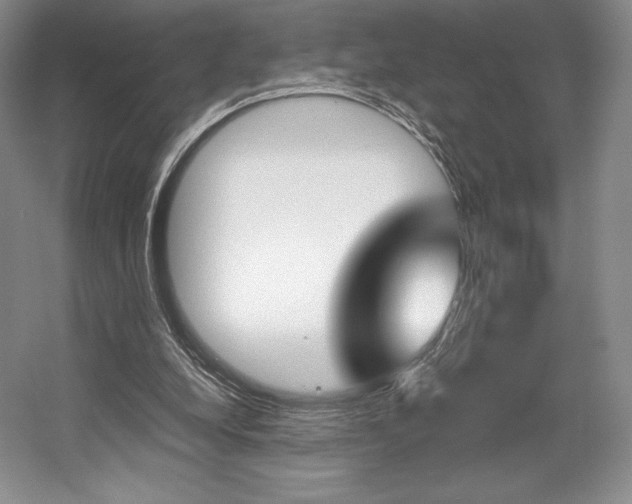 X0000056020248200508190927