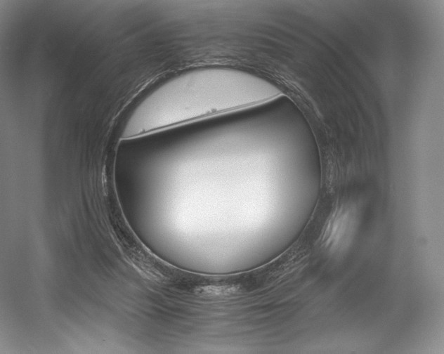 X0000056020251200508190927