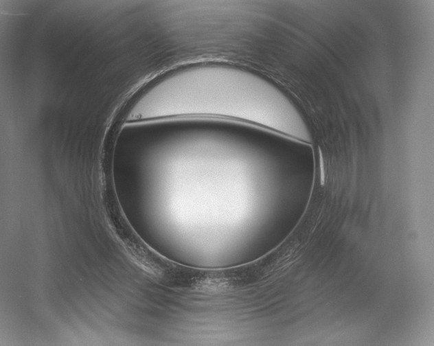 X0000056020252200508190928