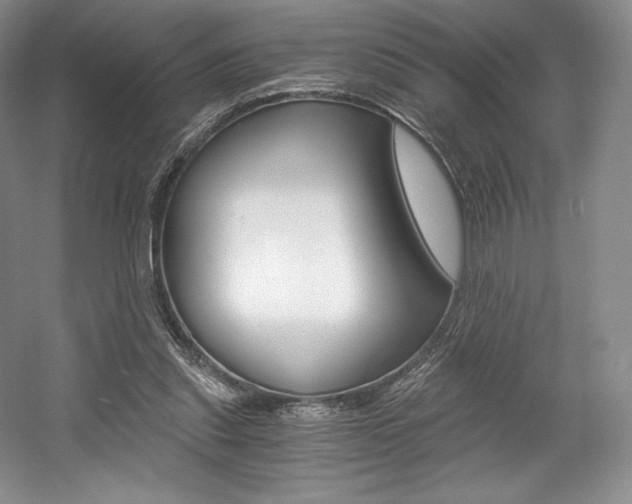 X0000056020253200508190928