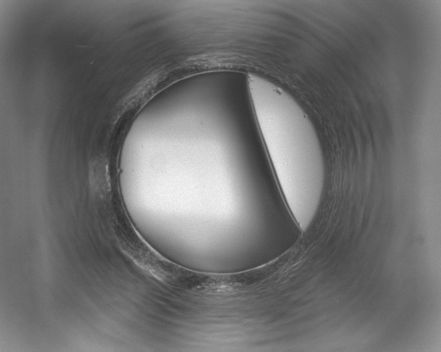 X0000056020254200508190928