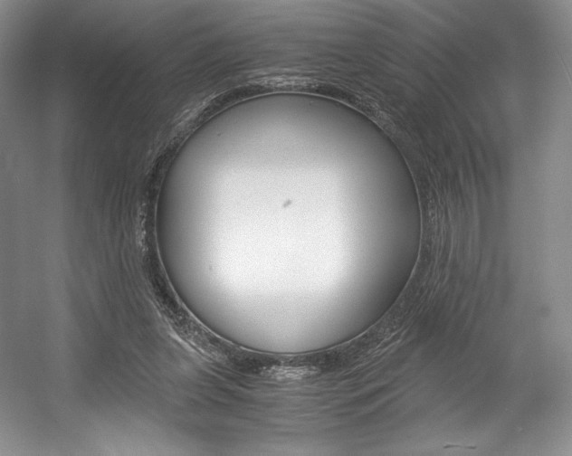 X0000056020255200508190928