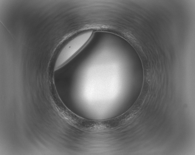 X0000056020256200508190928
