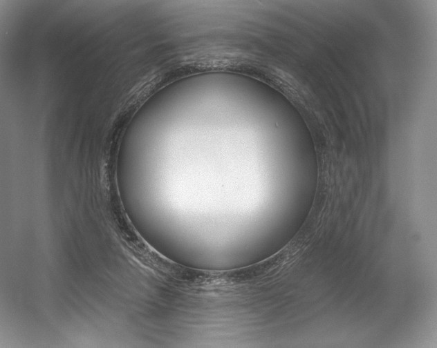 X0000056020258200508190928