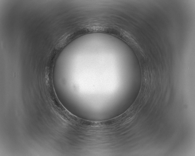 X0000056020259200508190928