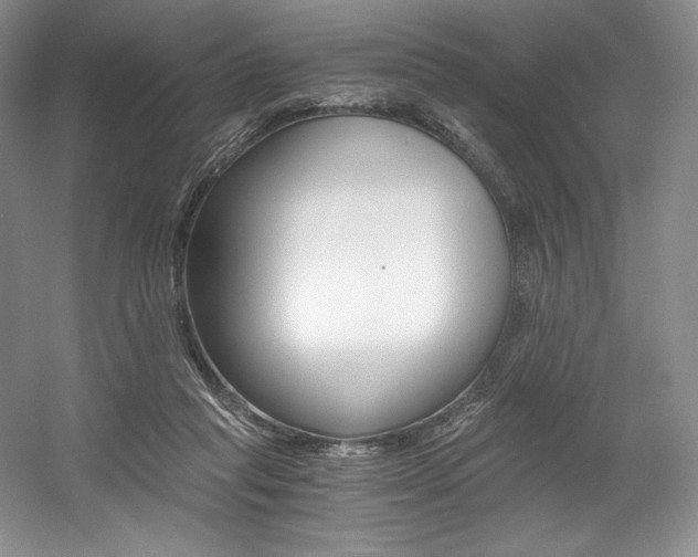 X0000056020261200508190928